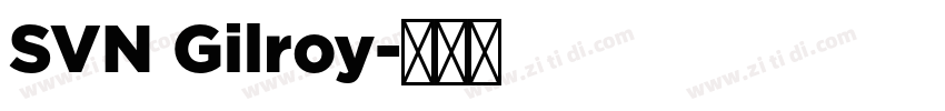 SVN Gilroy字体转换